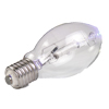 Mercury Vapor Bulb